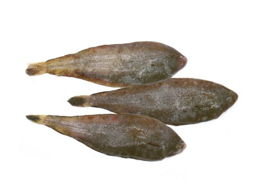 Acedias - Productos de la Pesca Conil